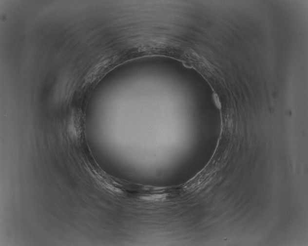 X0000074231012200608251108