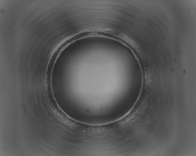X0000074231020200608251108