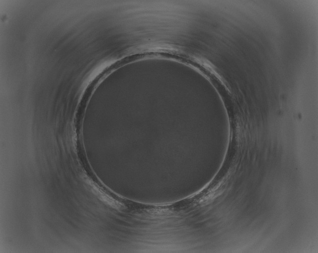 X0000074231024200608251108