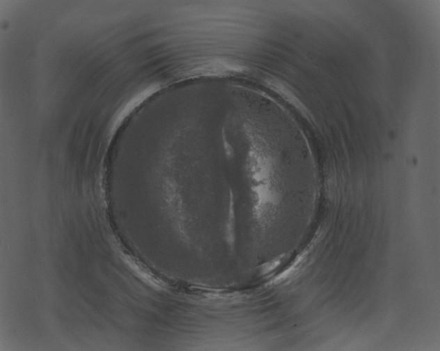 X0000074231026200608251108