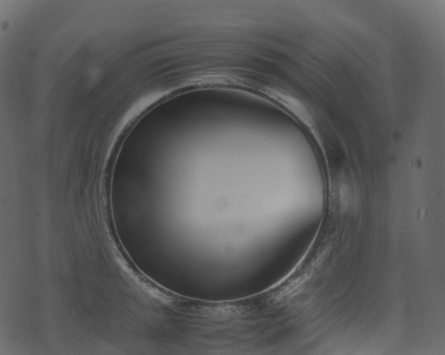 X0000074231045200608251108