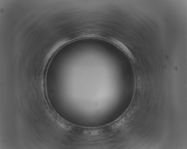X0000074231051200608251108