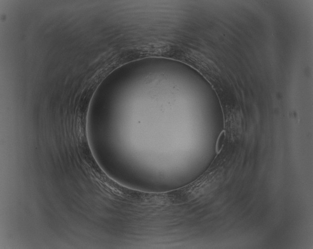 X0000074231058200608251108