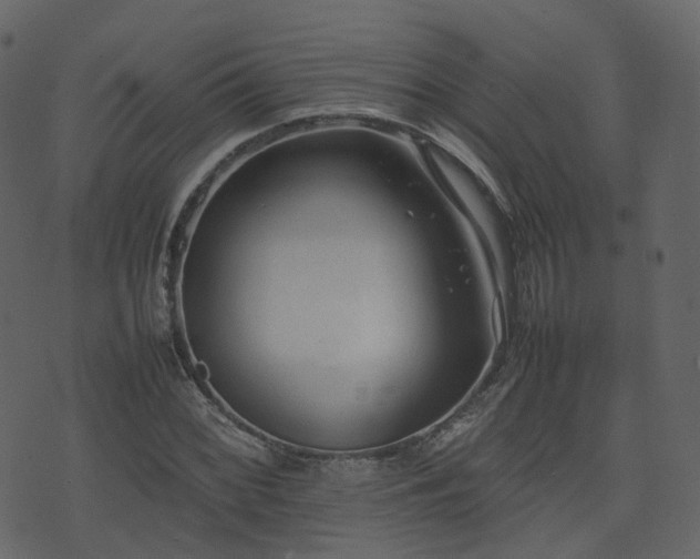 X0000074231068200608251107