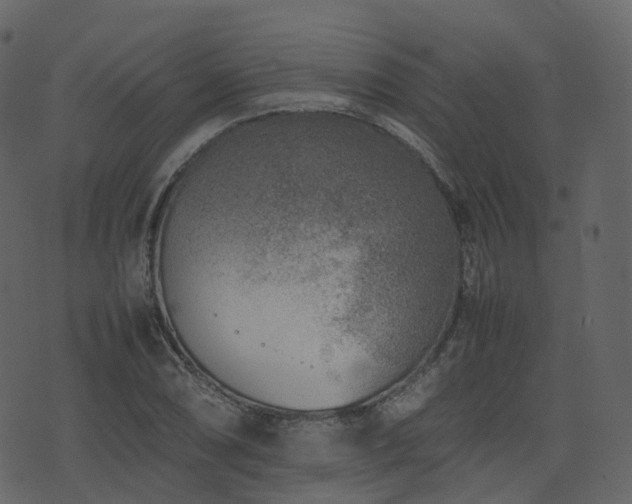 X0000074231074200608251107