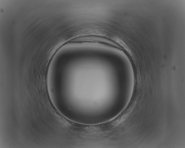 X0000074231089200608251107
