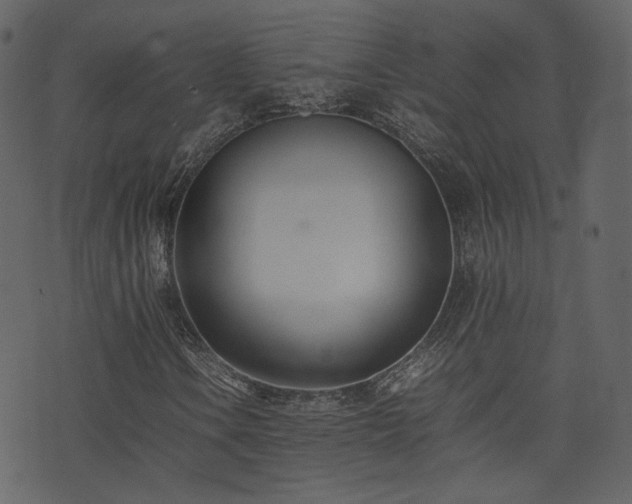 X0000074231106200608251106
