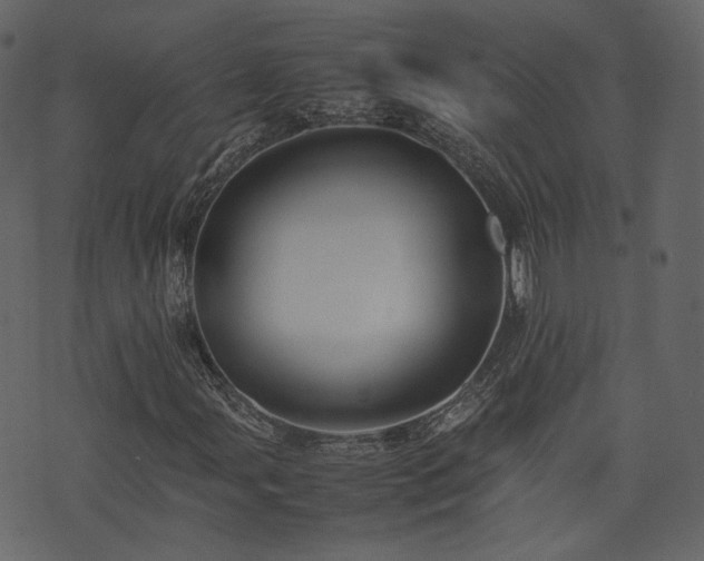 X0000074231107200608251106