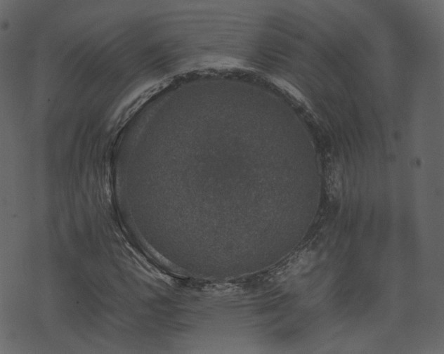 X0000074231112200608251106