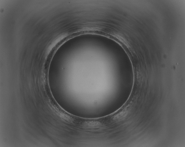 X0000074231119200608251106