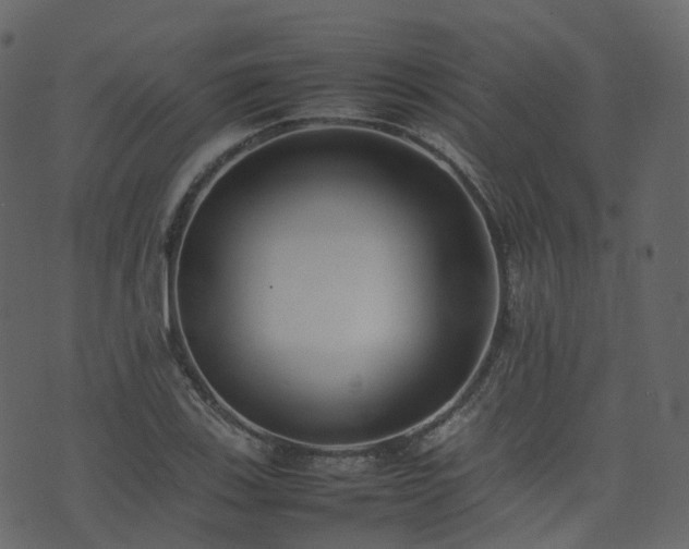 X0000074231123200608251106