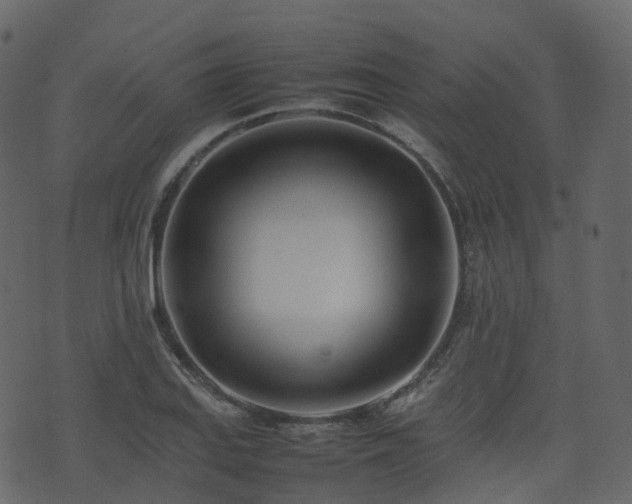 X0000074231127200608251106