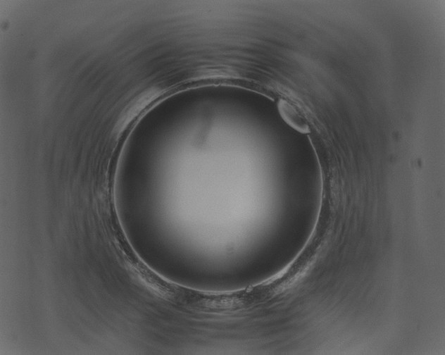 X0000074231129200608251106