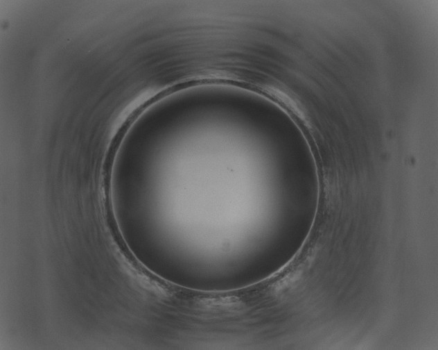 X0000074231133200608251106