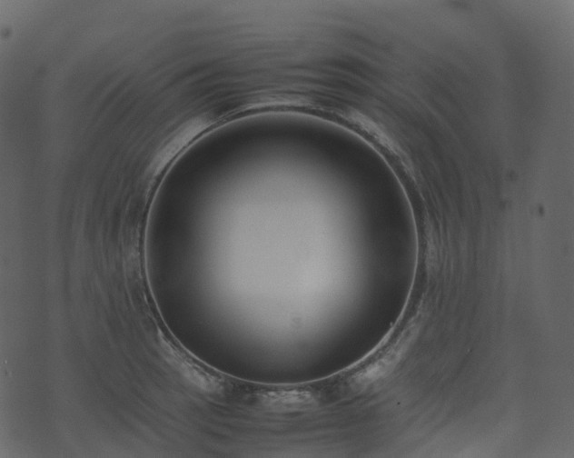 X0000074231137200608251107