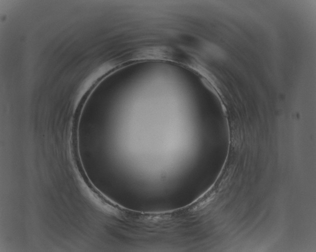 X0000074231139200608251107
