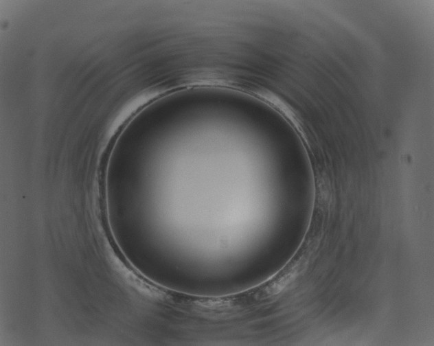 X0000074231147200608251107