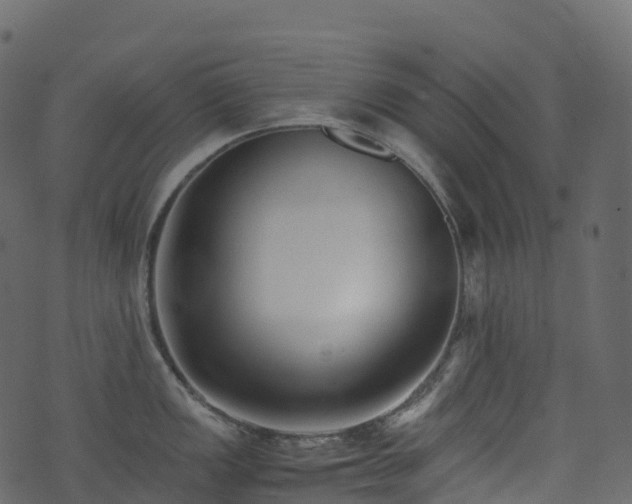 X0000074231149200608251107