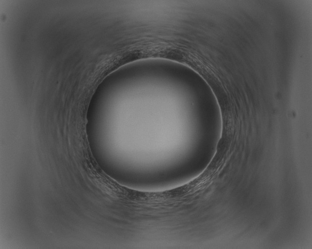 X0000074231153200608251106
