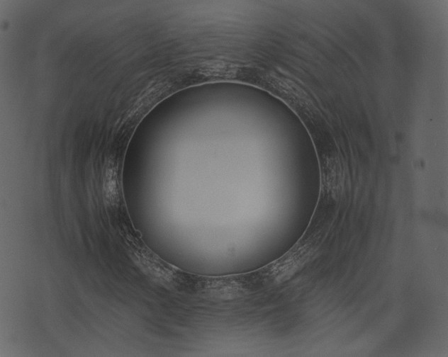 X0000074231154200608251106