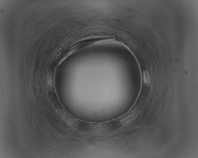 X0000074231155200608251106