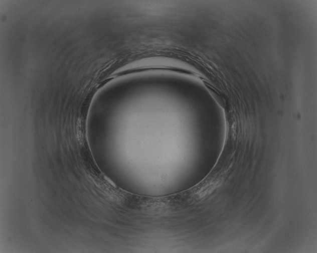 X0000074231156200608251106