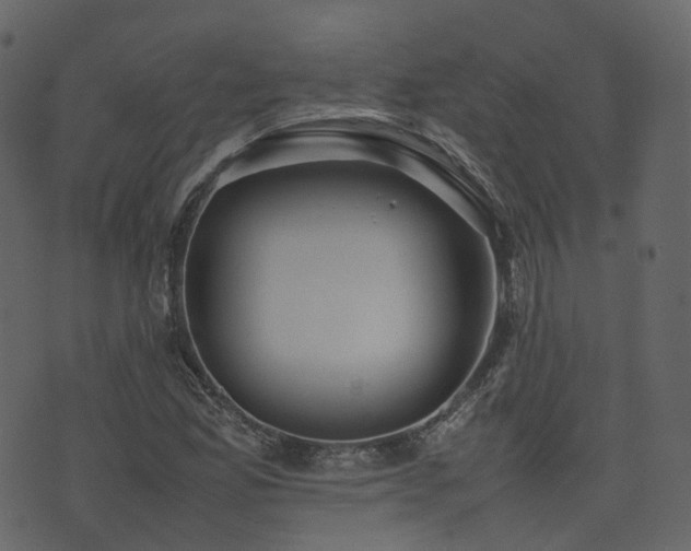 X0000074231165200608251106