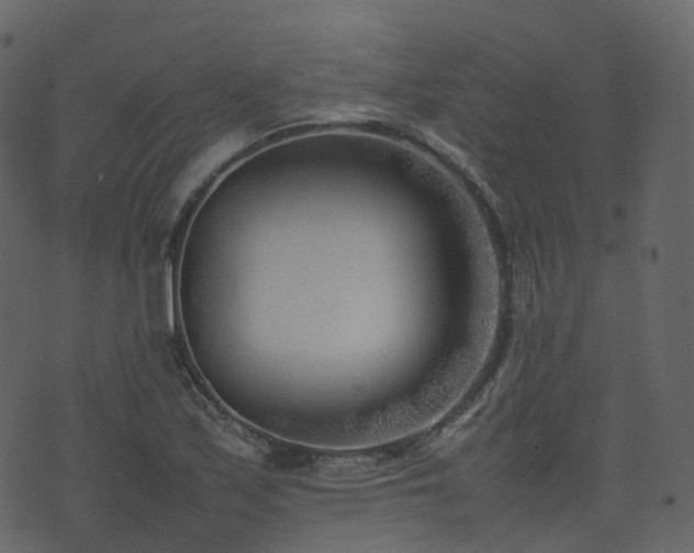 X0000074231171200608251106