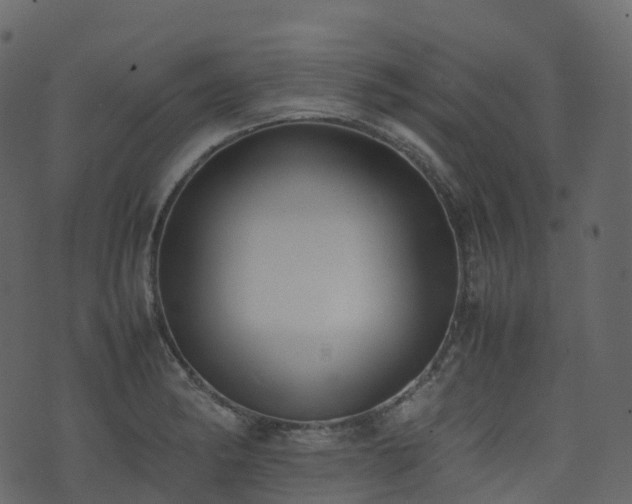 X0000074231182200608251106