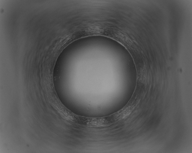 X0000074231201200608251104