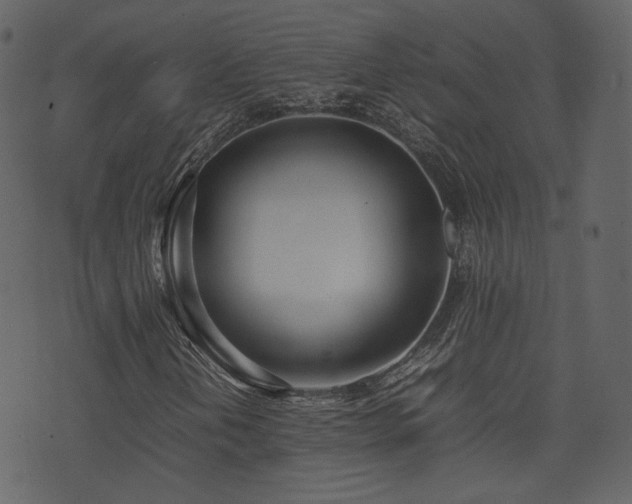 X0000074231202200608251104