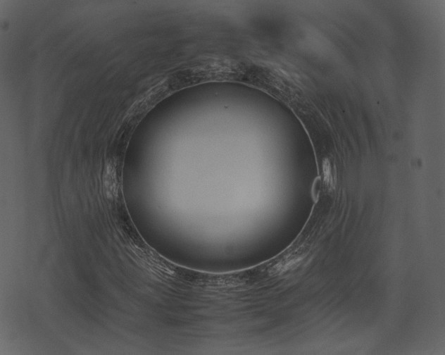 X0000074231203200608251104