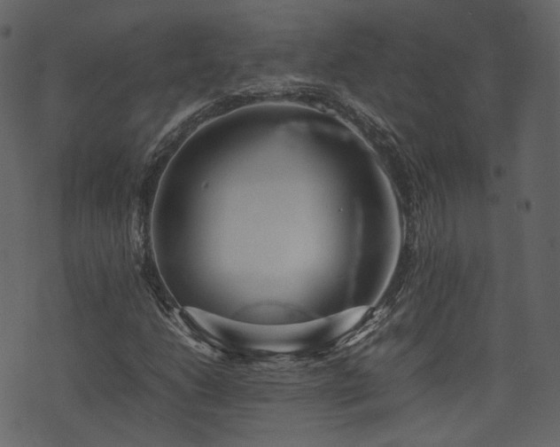 X0000074231206200608251105