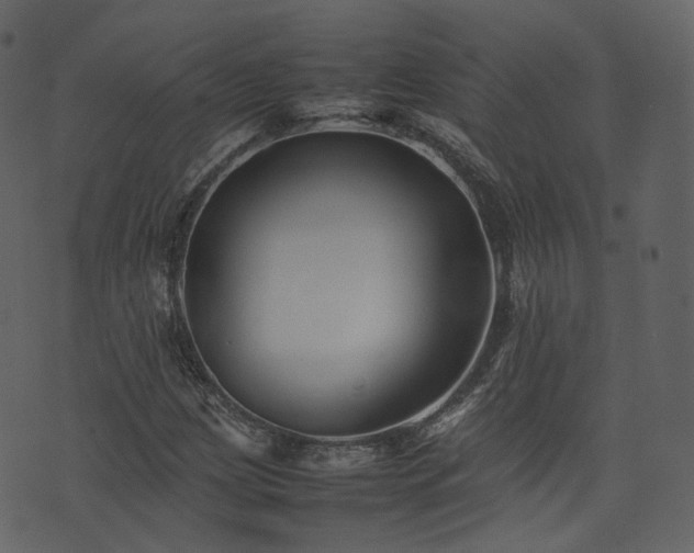 X0000074231209200608251105