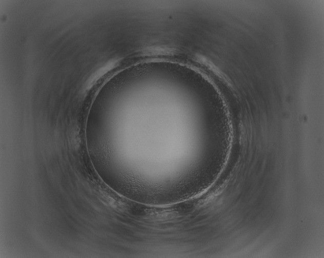 X0000074231213200608251105