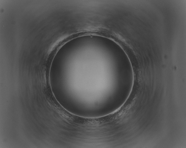 X0000074231214200608251105