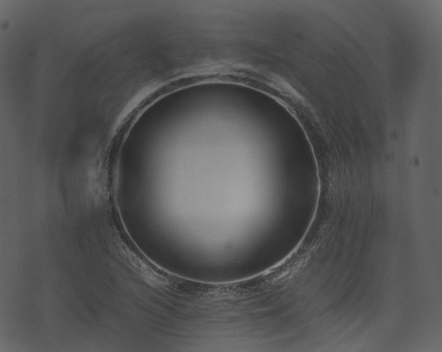 X0000074231216200608251105