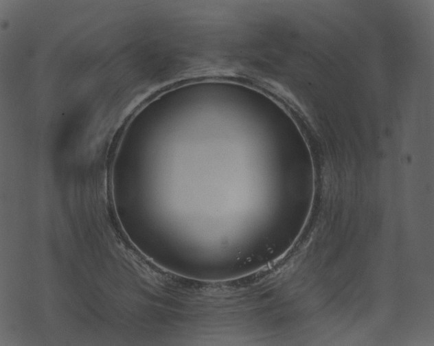 X0000074231220200608251105