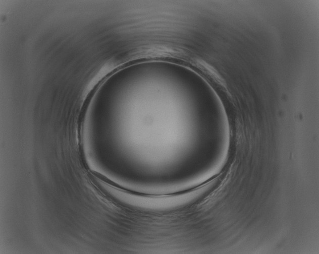 X0000074231226200608251105