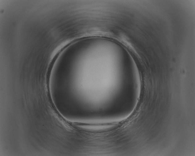X0000074231230200608251105