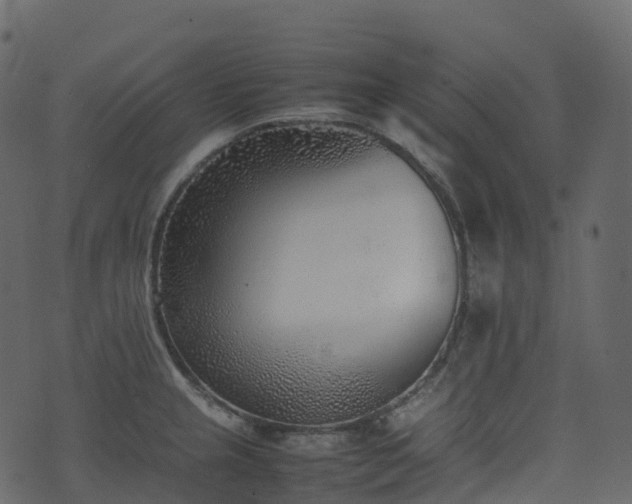 X0000074231237200608251105