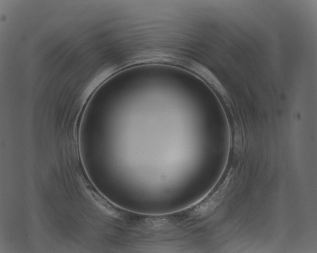 X0000074231242200608251105