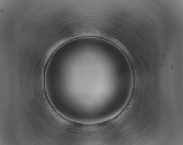 X0000074231246200608251105