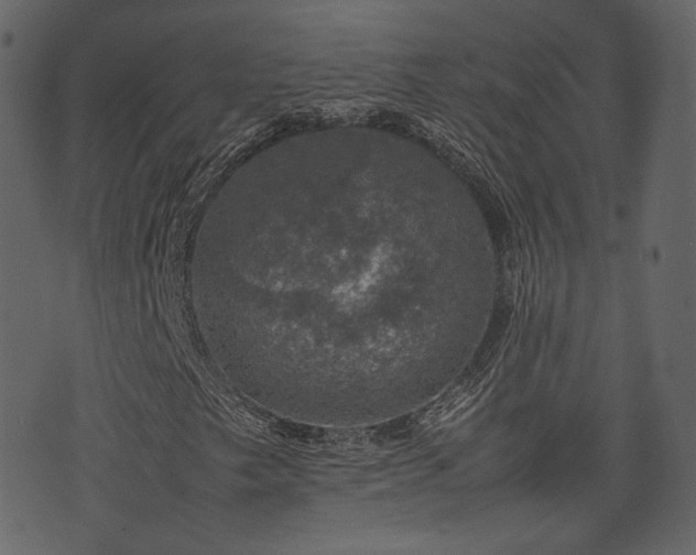 X0000074231249200608251104