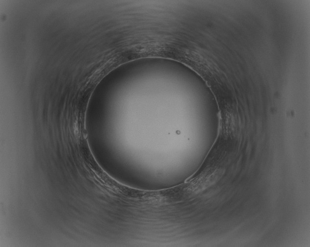X0000074231250200608251104