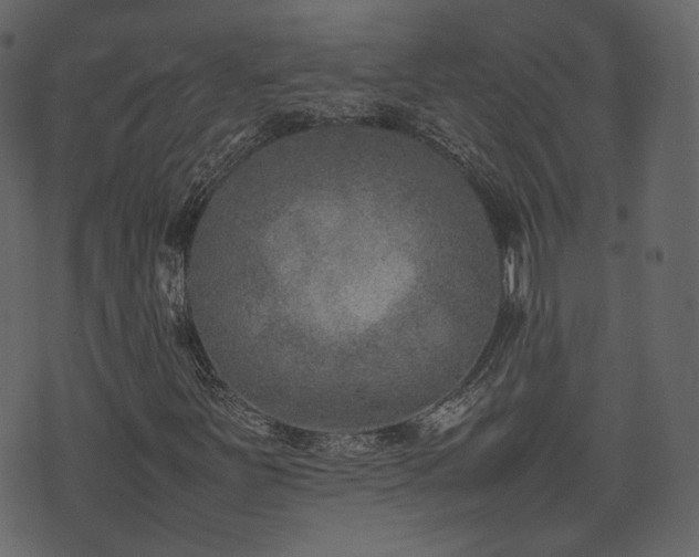 X0000074231251200608251104
