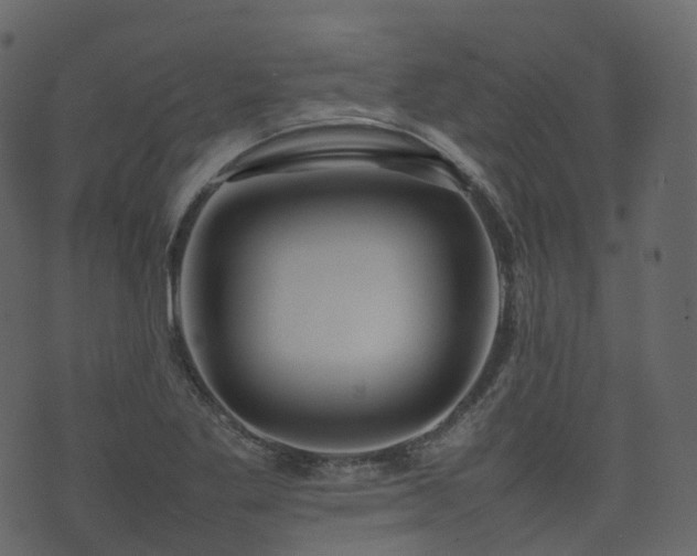 X0000074231269200608251104