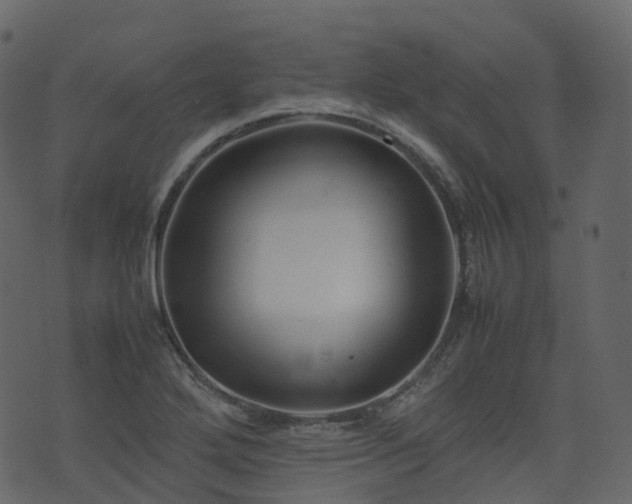 X0000074231272200608251104