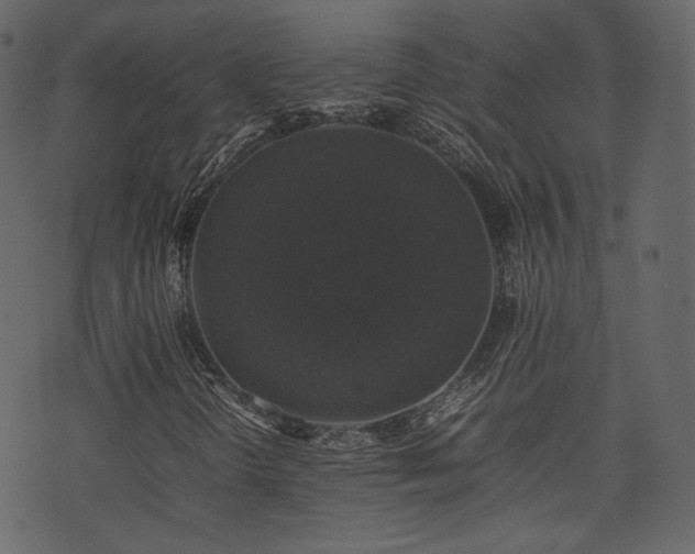 X0000074231298200608251103