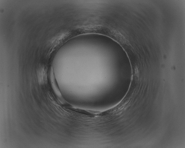 X0000074231300200608251103
